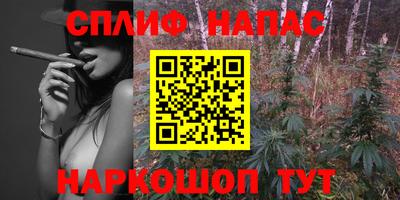 мдпв Жуковский