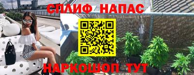 мдпв Жуковский
