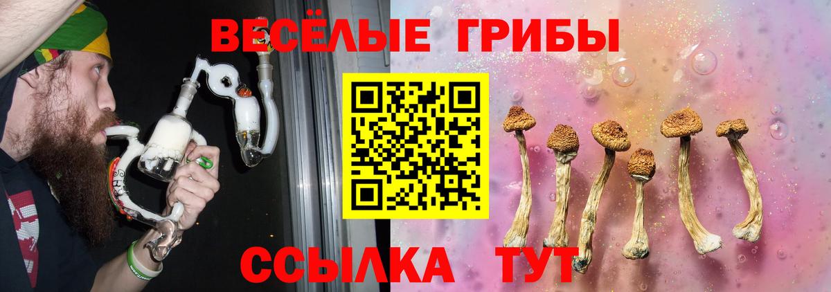 Галлюциногенные грибы Magic Shrooms  Вход с VPN  купить наркотики сайты  Губаха 
